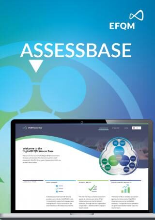 EFQM Assess Base licence 1 gadam